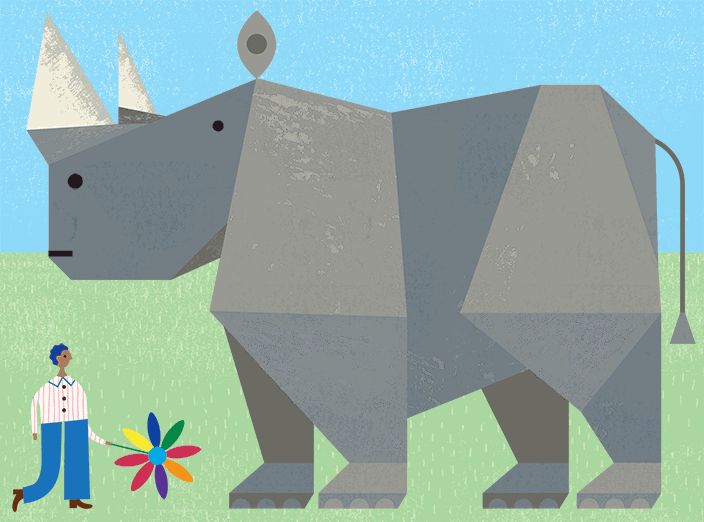 India’s “Gray Rhino” Risk